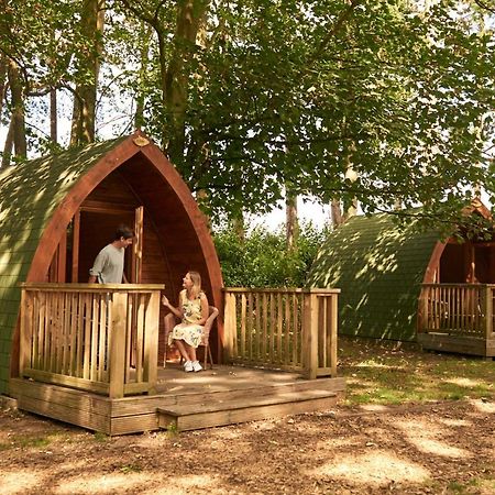 Pinewood - At Port Lympne Reserve Hythe  Esterno foto