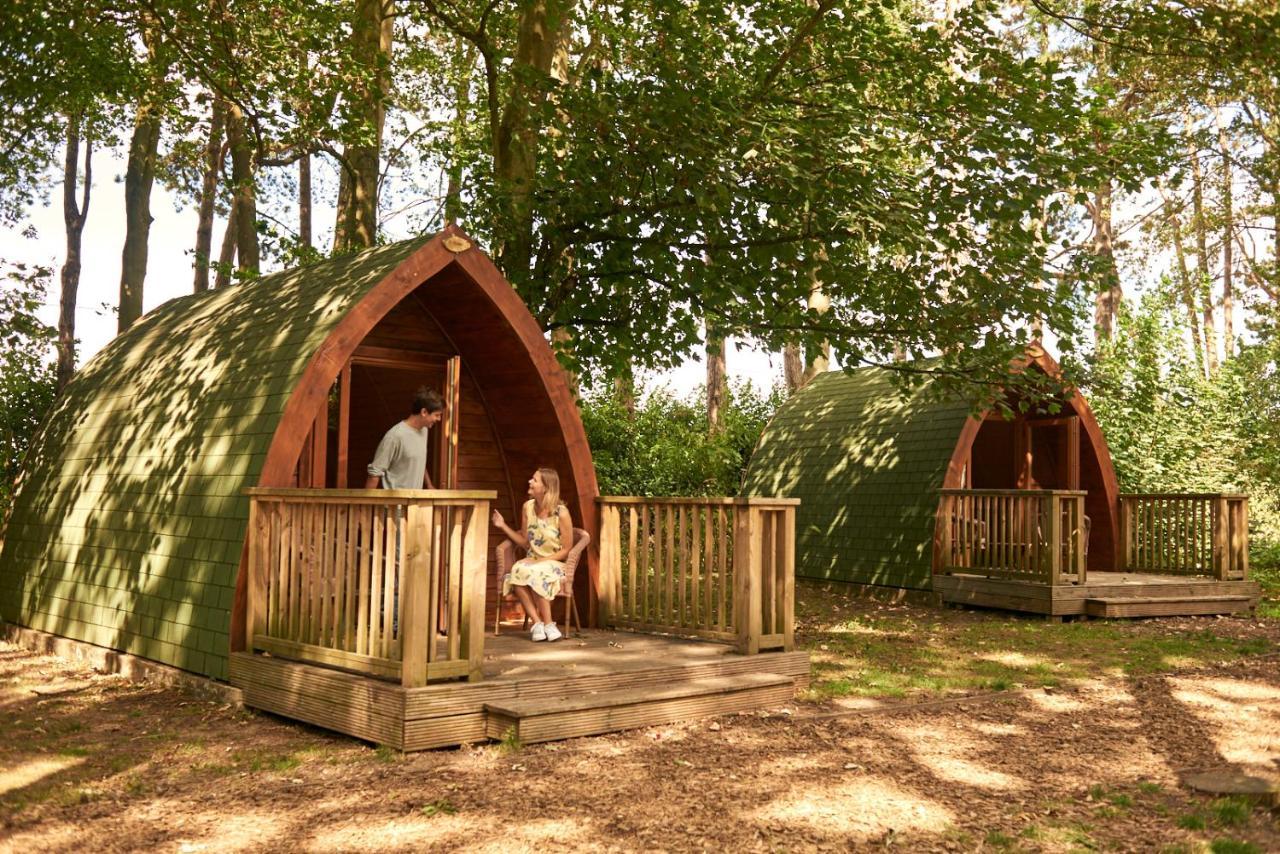 Pinewood - At Port Lympne Reserve Hythe  Esterno foto
