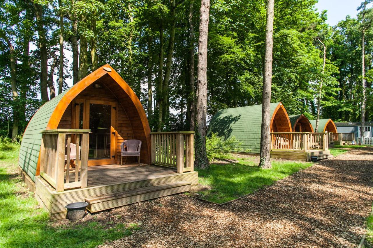Pinewood - At Port Lympne Reserve Hythe  Esterno foto